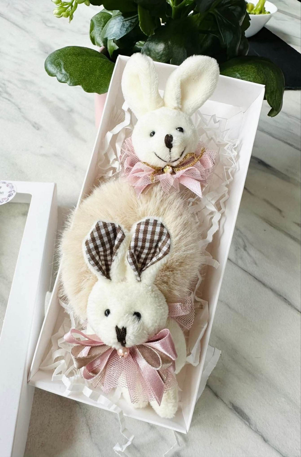 Gumytė ,,zuikutis,,