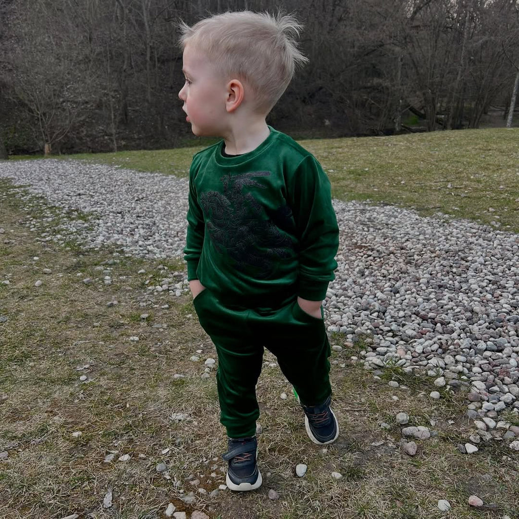 Kostiumelis "LT Vytis"